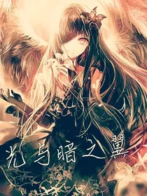 斗龙战士7之光与暗之翼