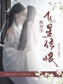 陈情令：飞星传恨