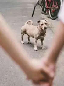 缺表情包了吗？