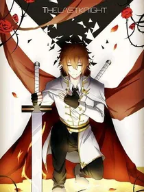 骑士双面