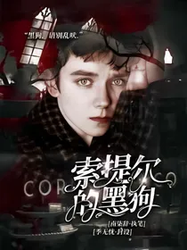 HP：索提尔的黑狗