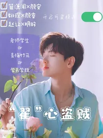 翟心盗贼