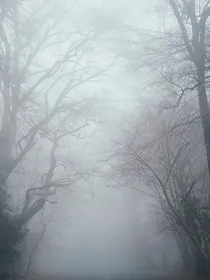 一缕阳光的温暖—