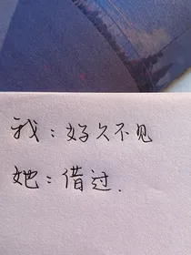 蕊蕊文案管