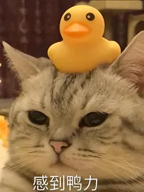 王者小日常吖