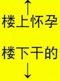 那……有一只猫？