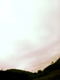 某君主大帝只是在看风景