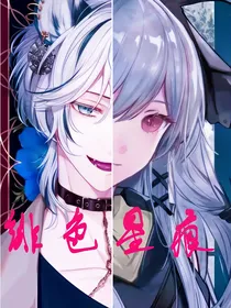 双重设定
