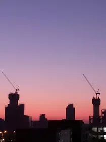 因错不阳差