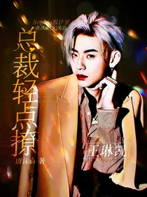 王琳凯：总裁轻点撩