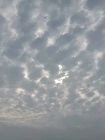 山海经之修仙学院