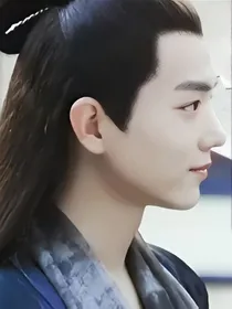 怪侠一枝梅