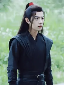 陈情令：其实我并不爱你
