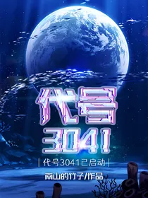 代号3041