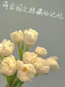 萌学园之隐藏的记忆-d552