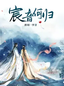 宸音何归