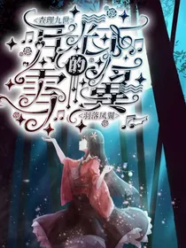 查理九世之月光下的雪翼