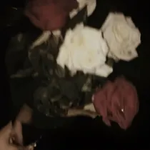 等一次花开