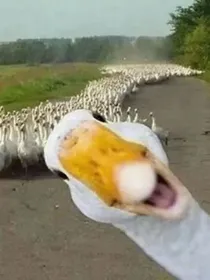 黄泉阴司