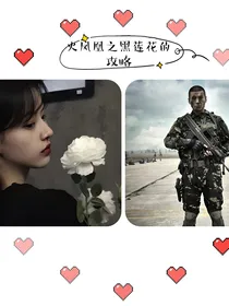 火凤凰之黑莲花的攻略