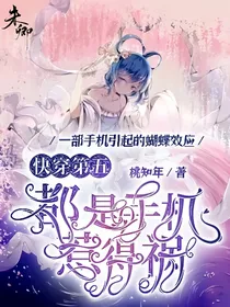 快穿第五：都是手机惹得祸