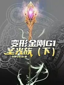 变形金刚G1：圣光族（下）