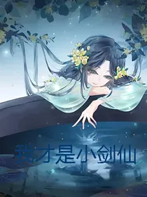 我才是小剑仙
