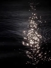 海蓝见鲸