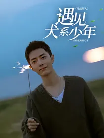 遇见犬系少年（肖战同人）