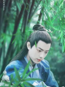 哦，我的皇帝陛下之宸王妃