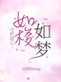 守护甜心：如梭如梦