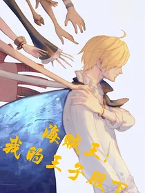 （海贼王）我的王子殿下