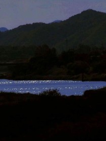这就是爱吗