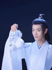 陈情令之羡妍