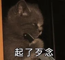 给师姐开后宫日常：只寻良人