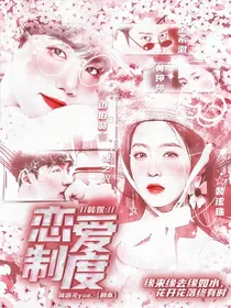 韩娱：恋爱制度