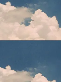云朵鱼爆照馆