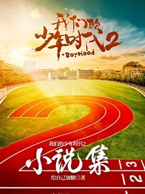 我们的少年时代2小说集