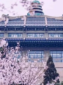 再见了校园