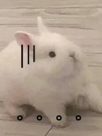 综穿：潘多拉的小盒子