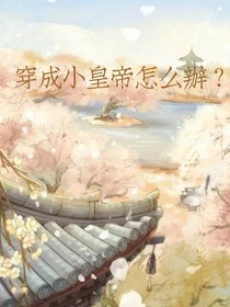 穿成小皇帝怎么办