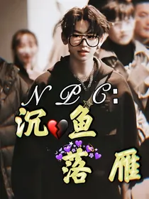 NPC：沉鱼落雁