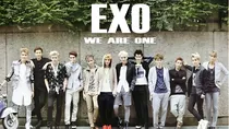 EXO：我有12个明星哥哥