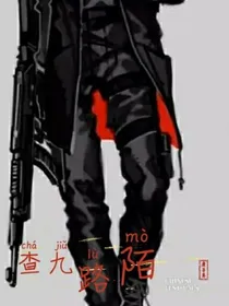 陌路（查九）