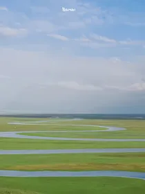 人人都爱绿茶