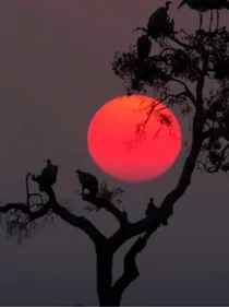 厄运与救赎