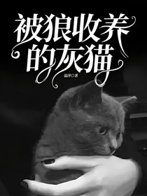 被狼收养的灰猫