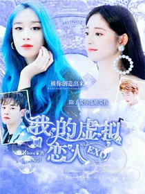 EXO：我的虚拟爱人
