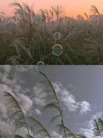 记那些记忆深处的爱