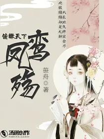 俯瞰天下之鸾凤殇